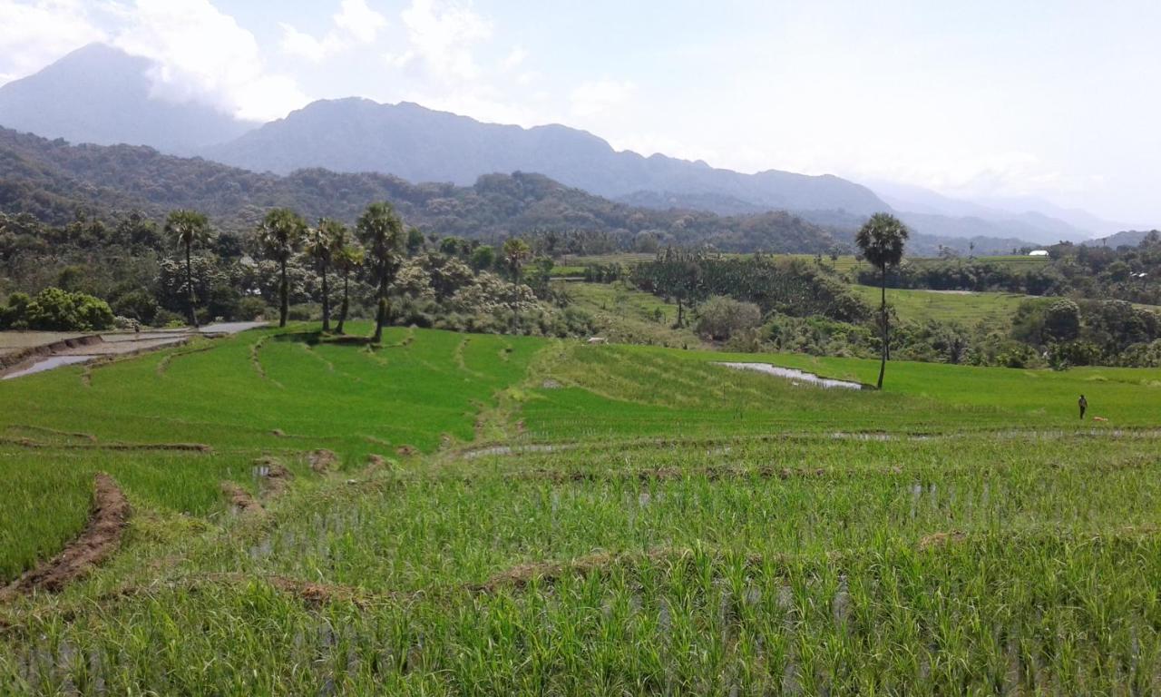 Kristian Homestay Bajawa Exterior foto